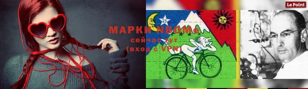 мдпв Алексин