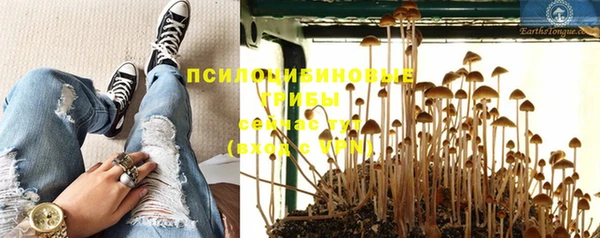 дживик Алзамай