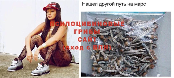 дживик Алзамай