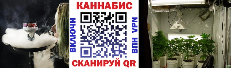 Канабис семена  Камышин 
